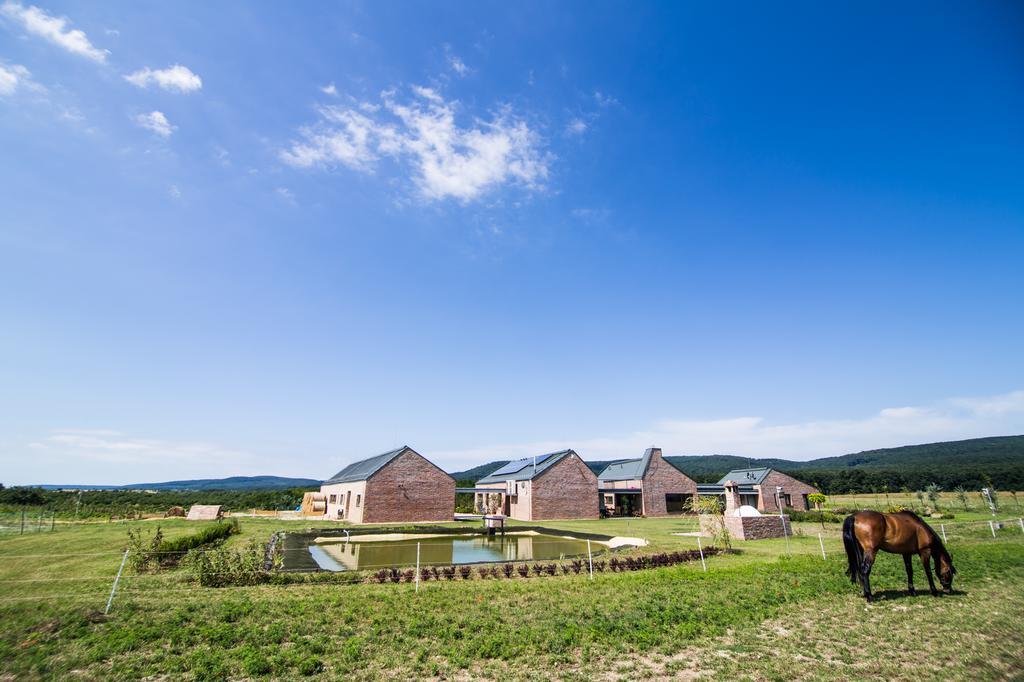 Oeregtoelgy Vendeghaz Villa Szár Exterior photo